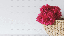 demo attachment 481 ina soulis 227104 unsplash